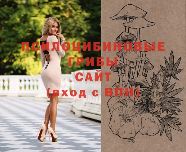 стаф Кулебаки