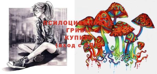 стаф Кулебаки