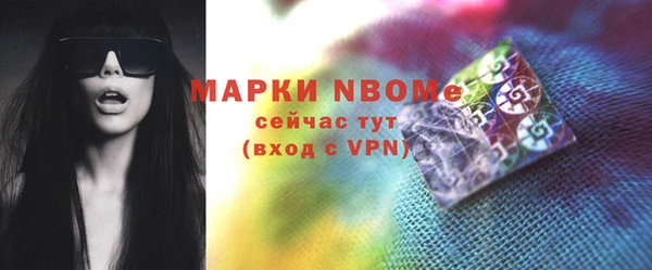 стаф Кулебаки