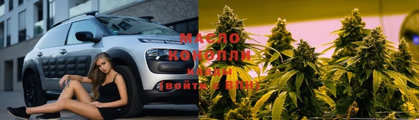 стаф Кулебаки