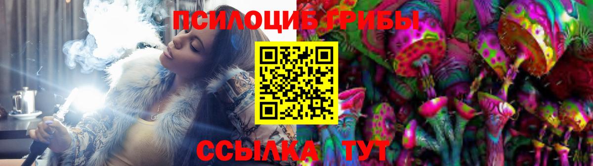 Галлюциногенные грибы Cubensis  Архангельск  где купить наркоту  Галлюциногенные грибы Magic Shrooms 